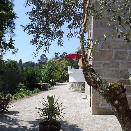 Villa Lugar Do Pego Τοντέλα Εξωτερικό φωτογραφία