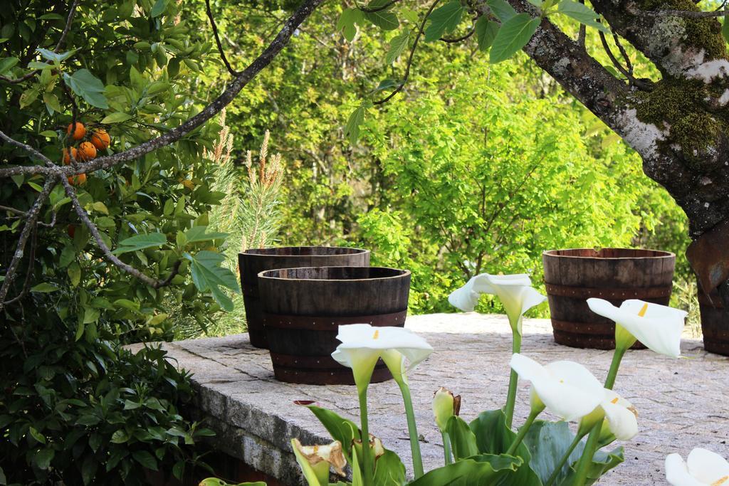 Villa Lugar Do Pego Τοντέλα Εξωτερικό φωτογραφία